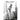 Boek-Miss Dior-tweedehands