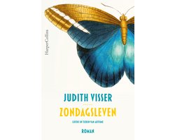 Boek-Zondagsleven-tweedehands