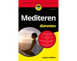 Mediteren voor Dummies, Stephan Bodian, gele boekomslag voorkant met een mediterend figuur bij zonsondergang, tweedehands