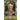 Boek-De gezelschapsdame van Willowgrove-tweedehands
