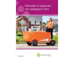 Boek-Methodiek en begeleiden voor pedagogisch werk-tweedehands