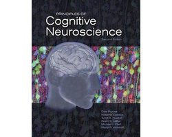 Boek-Principles of Cognitive Neuroscience-tweedehands