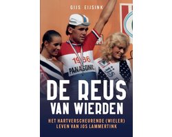 De reus van Wierden