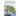 Boek-Bonsai-tweedehands