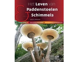 Het leven van paddenstoelen en schimmels