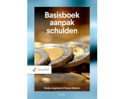 Boek-Basisboek aanpak schulden-tweedehands