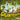 Boek-Gigantosaurus-tweedehands