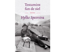 Boek-Testamint fan de siel-tweedehands