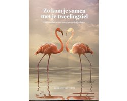 Zo kom je samen met je tweelingziel