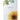 Aromecum - Aromatherapie van Absint tot Zonnebloem