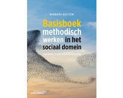 Basisboek methodisch werken in het sociaal domein