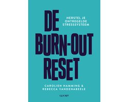 De burn-out reset, Carolien Hamming en Rebecca Vandenabeele, turquoise boekomslag voorkant, tweedehands