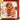 3DS-Nintendogs + Cats: Toy Poodle & New Friends Tweedehands