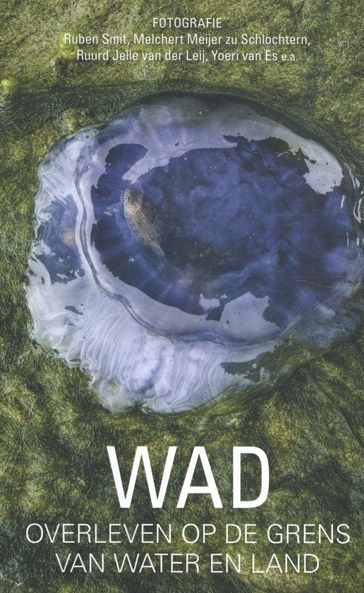 Wad, Overleven op de grens van water en land, Ruben Smit, groene omslag met een doorschijnende kwal, tweedehands