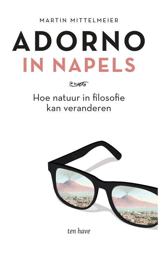 Adorno in Napels, hoe natuur in filosofie kan veranderen, Martin Mittelmeier, Ten Have, omslag met een zonnebril, tweedehands