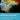 Boek-Alzheimers Disease-tweedehands