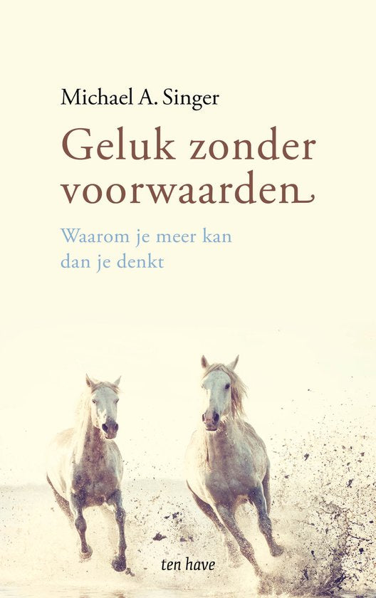 Boek-Geluk zonder voorwaarden-tweedehands