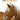 Boek-Over mensen en paarden-tweedehands