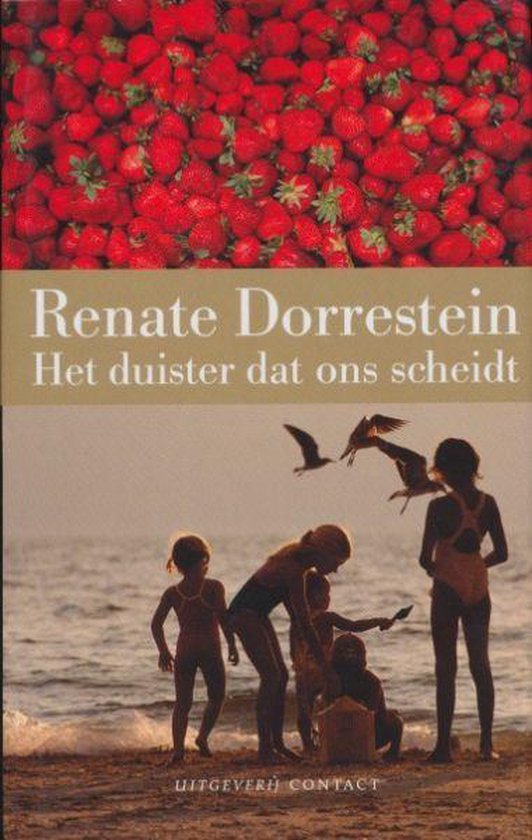 Het duister dat ons scheidt, Renate Dorrestein, omslag met aardbeien en kinderen aan zee, tweedehands