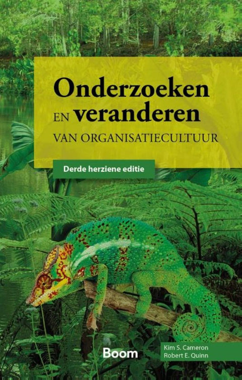 Boek-Onderzoeken en veranderen van organisatiecultuur-tweedehands