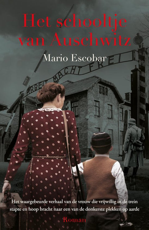 Boek-Het schooltje van Auschwitz-tweedehands