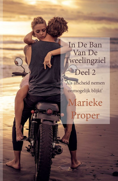 Boek-In De Ban Van De Tweelingziel deel 2-tweedehands