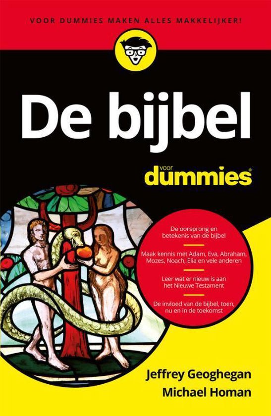 Boek-Voor Dummies - De bijbel voor Dummies-tweedehands