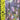 Boek-Watchmen-tweedehands