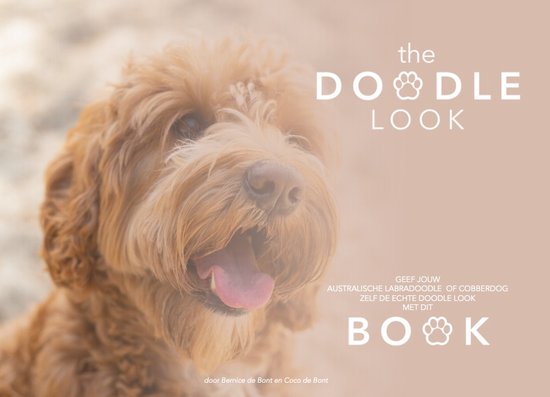 Boek-The Doodle Look Book-tweedehands