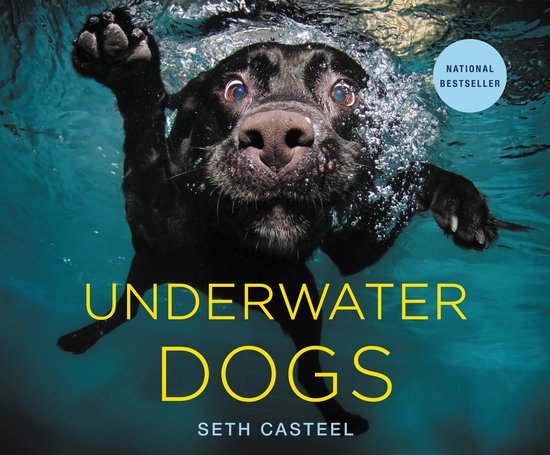 Boek-Underwater Dogs-tweedehands