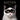 Katten