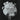 Boek-Transparent-tweedehands