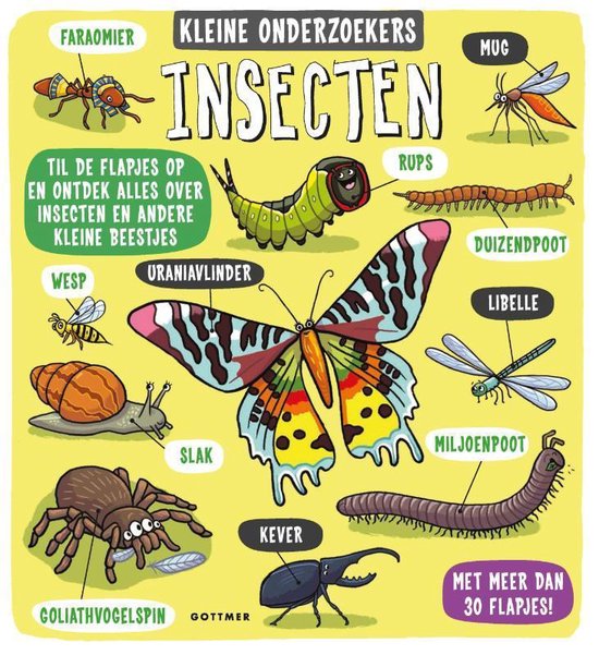 Boek-Kleine onderzoekers - Insecten-tweedehands