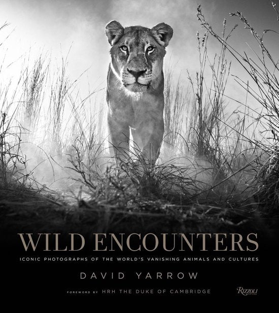 Wild Encounters, David Yarrow, boekomslag voorkant met een zwart-witfoto van een leeuwin, tweedehands