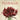 Boek-Floralia-tweedehands