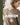 Boek-Jurken-tweedehands