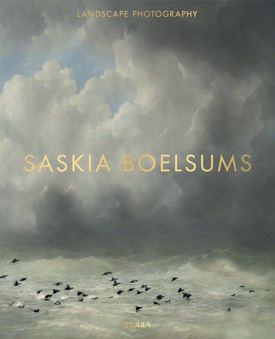 Landscape Photography, Saskia Boelsums, omslag met donkere wolken boven de zee en vogels, tweedehands