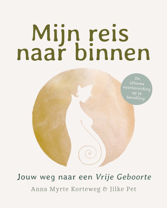 Boek-Mijn reis naar binnen-tweedehands