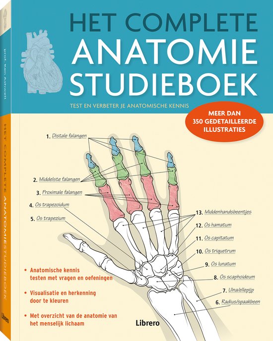 complete anatomie