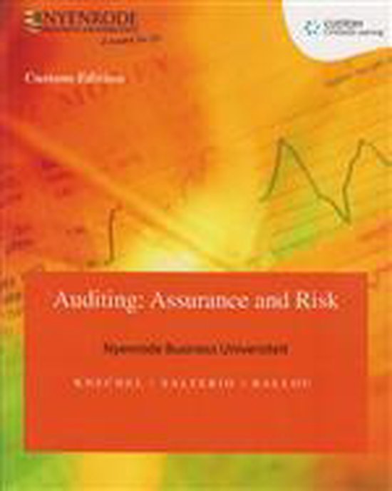 CUSTOM AUDITING: ASSURANCE & RISK