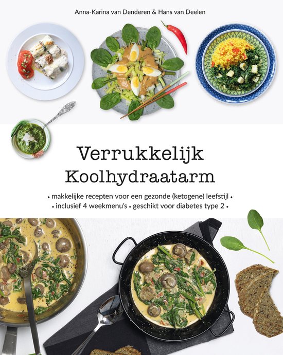 Boek-Verrukkelijk Koolhydraatarm-tweedehands