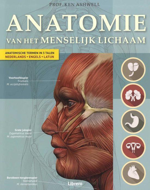 Anatomie van het menselijk lichaam, Ken Ashwell, boekomslag voorkant, tweedehands