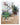 Boek-Wonder Plants-tweedehands