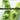 Boek-Understanding Nutrition-tweedehands