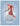 Boek-Functionele anatomie van de beweging-tweedehands