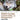 Boek-Wildlife Ecology Conservation & Manageme-tweedehands