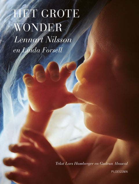 Boek-Het grote wonder-tweedehands