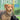 Boek-De buitenlandse hond-tweedehands