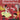 Mijn vragen- en antwoordenboek - Beroemdheden uit de Geschiedenis