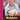 Boek-Roger Van Damme - Bakken-tweedehands